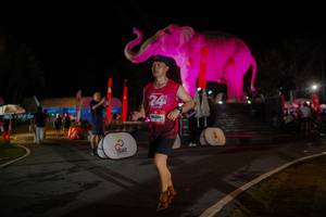 BIB: 
                            <button type="button" onclick="openModal(26552158)" class="btn btn-primary btn-sm float-right btn-popup" data-toggle="modal" data-target=".modal-high-quality">
                        <i class="fas fa-shopping-cart"></i> Add to Cart
                    </button>
                                            <button type="button" onclick="isThisMe(26552158, true)" class="btn btn-success btn-sm float-right btn-popup btn-isme hidden" data-toggle="tooltip" data-placement="bottom" title="นี่คือรูปของคุณใช่ไหม คลิกที่นี่เพื่อเอาเข้าอัลบั้ม">
                        <i class="fas fa-plus"></i> Add to album
                    </button>
                    <button type="button" onclick="isThisMe(26552158, false)" class="btn btn-warning btn-sm float-right btn-popup btn-isnotme hidden">
                        <i class="fas fa-ban"></i> Remove from album
                    </button>